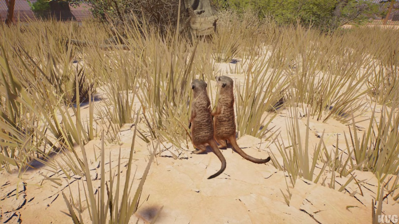 Planet Zoo 2 Guide Aardvark