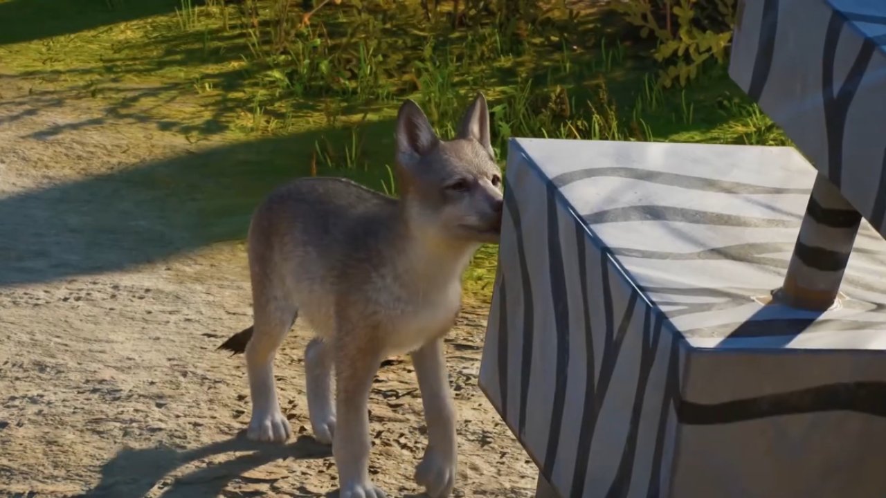 Planet Zoo 2 Guide Best Animals for Beginners